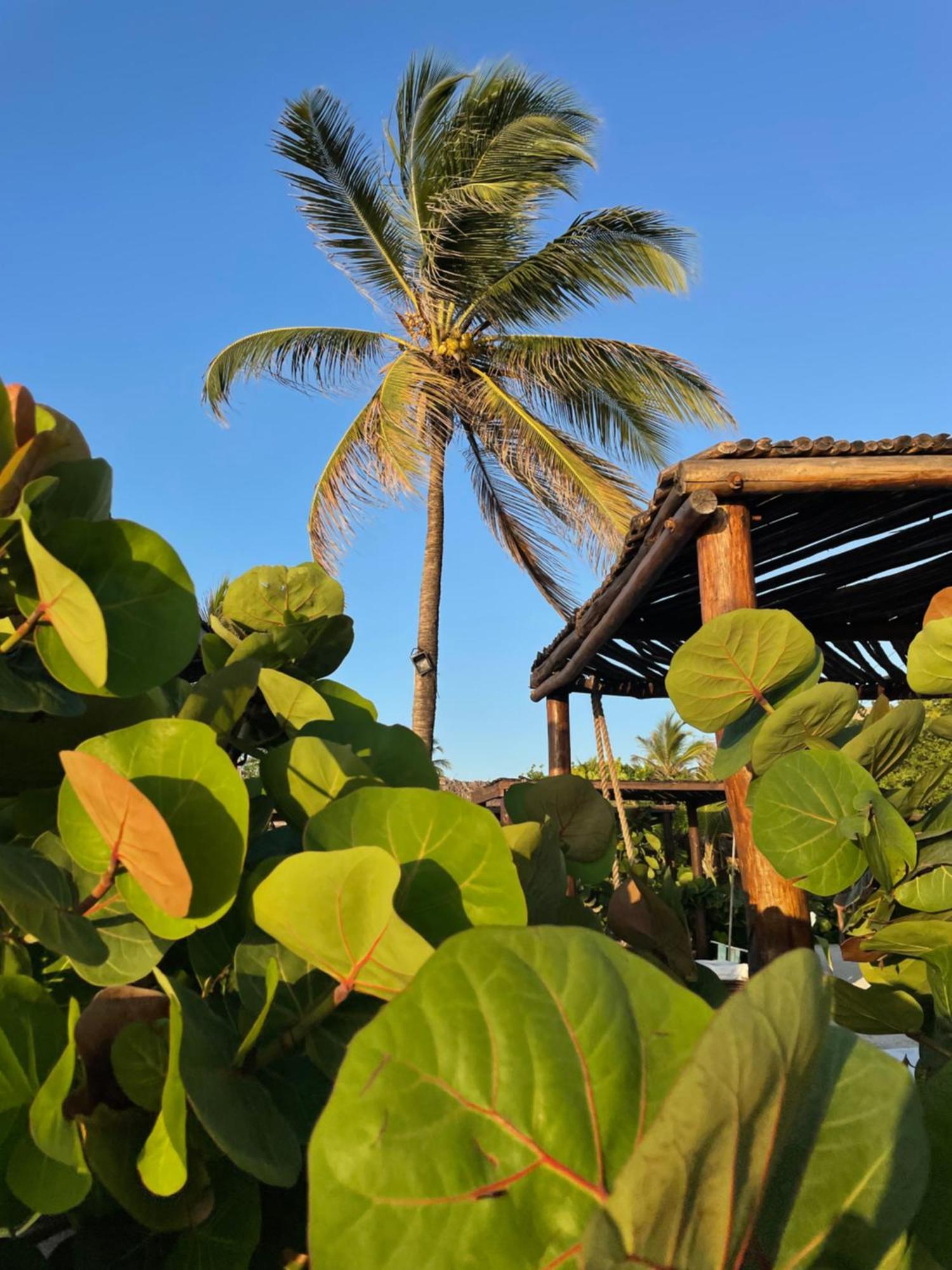 Namaste Beach Club & Hotel Playa de Punta Arena Exterior foto